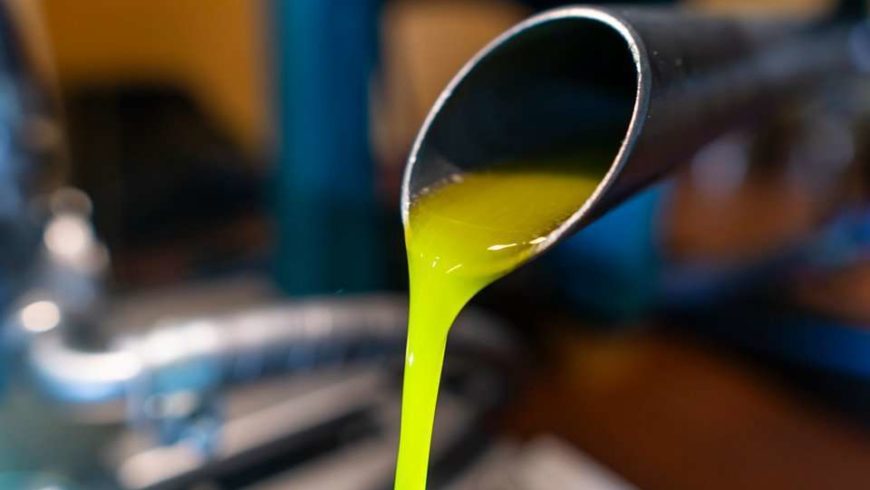 Phenolic compound in Evoo: good for the Parkinson’s and Alzheimer’s disease