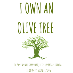 Adopt an olive tree