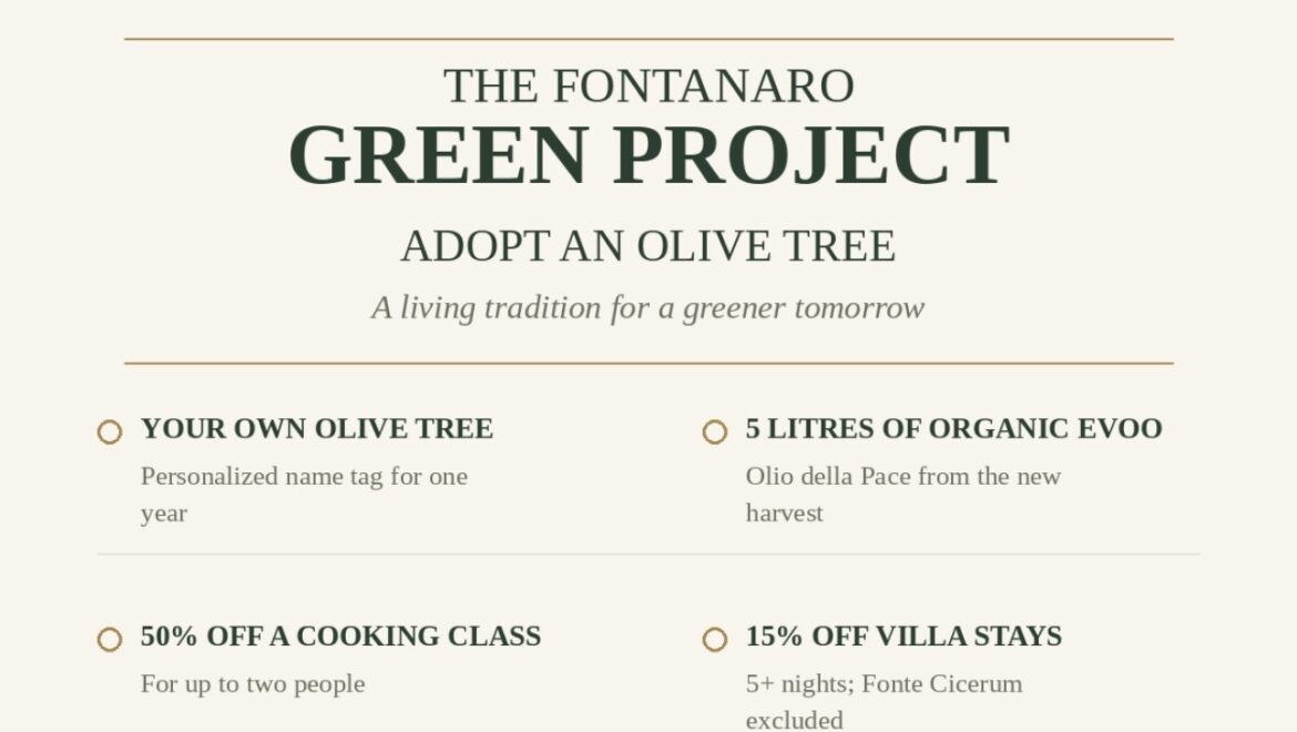 Adopt an Olive Tree in Italy