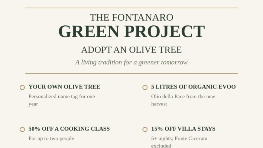 Adopt an Olive Tree in Italy